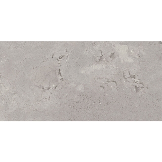 Picture of Emser Tile - Newport 12 x 24 Matte Ferry