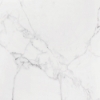 Picture of Roca - Slabs 48 x 48 Unpolished Carrara White