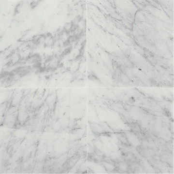 Picture of Daltile - Marble 12 x 24 Honed Carrara White