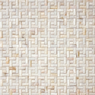 Picture of MiR Mosaic - Shell Sanibel