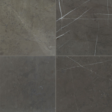 Picture of Daltile - Marble 12 x 24 Polished Antico Scuro