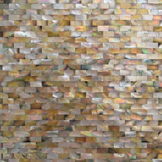 Picture of MiR Mosaic - Jewels of the Sea Golden Pearl