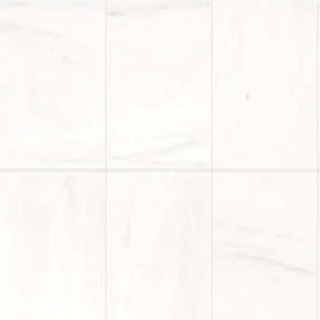 Picture of Daltile - Marble 12 x 24 Honed Contempo White