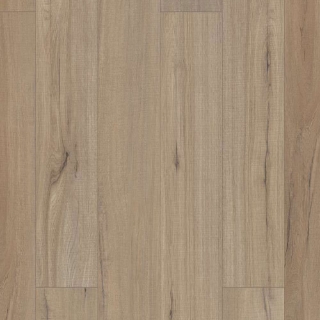 Picture of Shaw Builder - Polaris Plus Driftwood