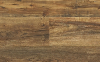 Picture of Audacity - Audacity One Pembroke