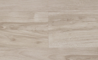 Picture of Audacity - Audacity One Hollis