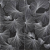 Picture of MiR Mosaic - Flora Gingko Black