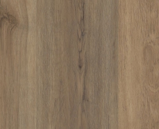 Picture of Shaw Floors - Fortitude Wild Dunes