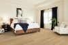 Picture of Shaw Floors - Natural Classics 5 Natural Hard Maple
