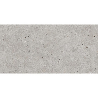 Picture of Roca - Stone Basel 12 x 24 Gris