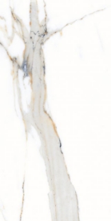 Picture of Elysium - AGL 12 x 24 Polished Apia Orange