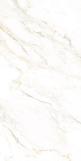 Picture of Elysium - AGL 24 x 48 Polished Lusso Staturio