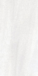 Picture of Elysium - Bruce 12 x 24 Bruce Polished