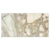 Picture of Elon Tile & Stone - Marble 18 x 36 Calacatta Green Honed