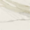 Picture of Elysium - Classici 48 x 48 Calacatta Gold Matte