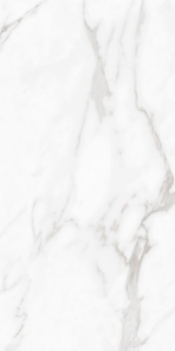 Picture of Elysium - Carenza 24 x 48 Bianca Polished