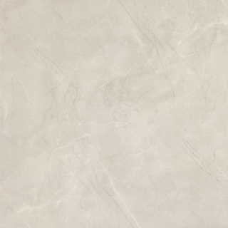 Picture of Elysium - NG Pulpis Prime 48 x 48 Light Grey Polished