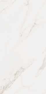 Picture of Elysium - Omnia 24 x 48 Calacatta Matte