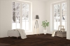Picture of InHaus - Visions Brazilian Walnut