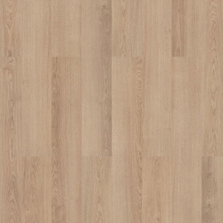 Picture of InHaus - Visions Hobart