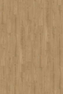 Picture of InHaus - Visions Clarke