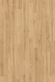 Picture of InHaus - Gallery Northlands