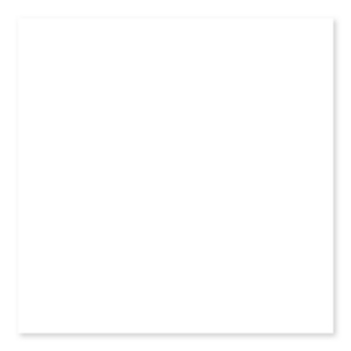 Picture of Roca - Color Collection 10 x 28 White Ice Bright