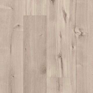 Picture of 5th and Main - Symbiotic 30 Canvas