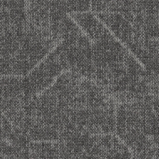 Picture of Shaw Contract - Visualize 24 x 24 Natural