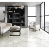Picture of Emser Tile - Nobleza 24 x 47 Lugo Polished