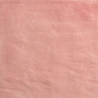 Picture of Emser Tile - Passion 9 x 9 Matte Rosa