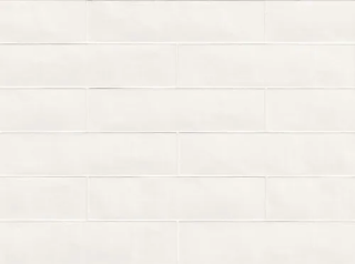 Picture of Gazzini - Color Art 2.5 x 10 White Glossy