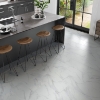 Picture of Emser Tile - Serendra 12 x 24 Matte Luna