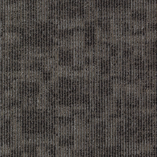 Picture of Aladdin Commercial - Cool Calm Insightful