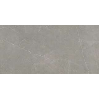 Picture of Emser Tile - Sterlina II 12 x 24 Polished Dove