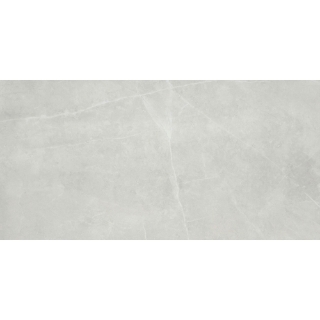 Picture of Emser Tile - Sterlina II 12 x 24 Polished Silver