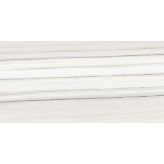 Picture of Tesoro - Mayfair 16 x 32 Matte Zebrino Grigio