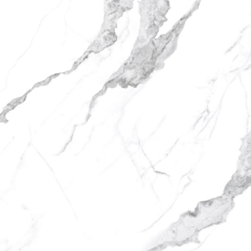 Picture of Tesoro - Mayfair 24 x 24 Matte Statuario Venato