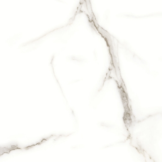 Picture of Tesoro - Mayfair 24 x 24 Polished Calacatta Oro