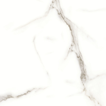 Picture of Tesoro - Mayfair 24 x 24 Polished Calacatta Oro