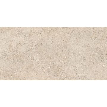 Picture of Tesoro - Shellstone 12 x 24 Outdoor Amber