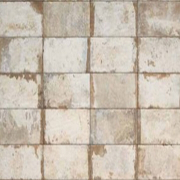 Picture of Tesoro - Havana 8 x 8 Tropicana