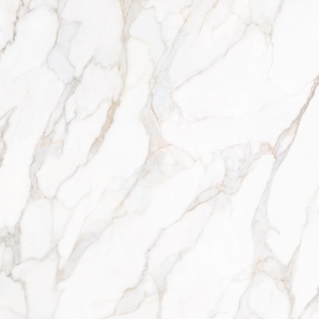 Picture of Tesoro - Paonazzo 36 x 36 Calcatta Gold Polished