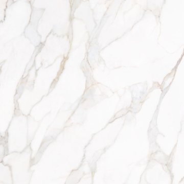 Picture of Tesoro - Paonazzo 24 x 24 Calacatta Gold Matte