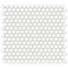 Picture of Tesoro - Soho Penny Round Mosaic Canvas White Glossy