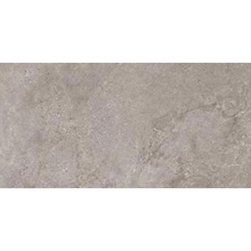 Picture of Tesoro - Evolution 12 x 24 Sugar