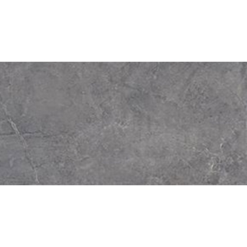 Picture of Tesoro - Evolution 12 x 24 Titanium