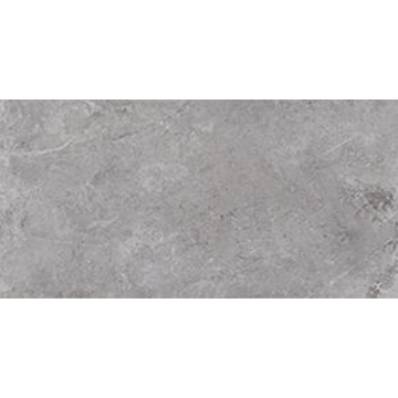 Picture of Tesoro - Evolution 24 x 48 Grey