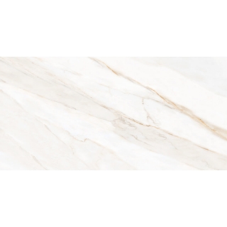 Picture of Tesoro - Icaro 12 x 24 Calacatta Oro Matte