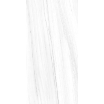 Picture of Tesoro - Lucca 24 x 48 Dolomite Matte